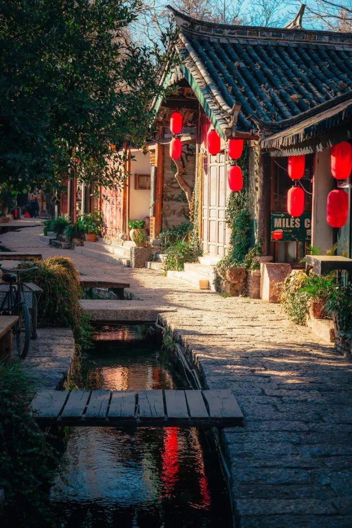 解救可爱的鸭子